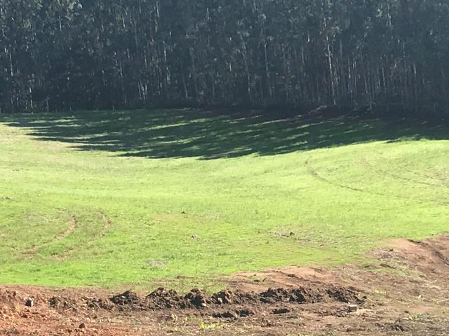 Troco ou vendo chácara em Quitandinha por imóvel em Curitiba ou Balneário Camboriú - Foto 8