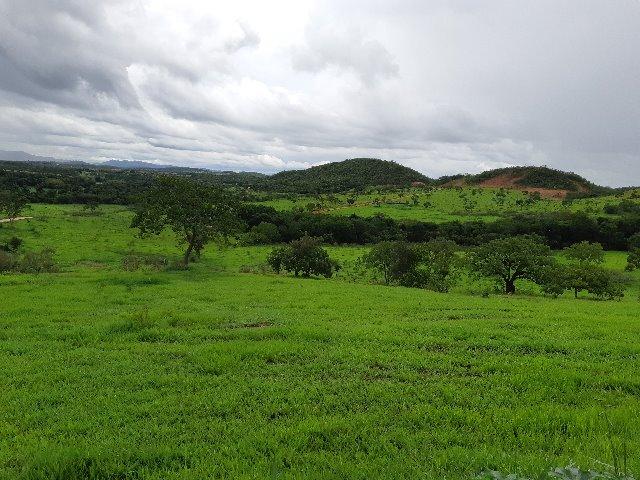 Fazendinha 20.000m2 | Maravilhosa | Com Lagoa E Espaço Gourmet | AGT - Foto 4