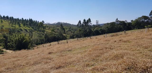 Vendo meus 2lotes de 1000m² urgente - Foto 3