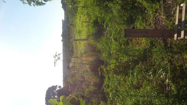 Sitio - Foto 8
