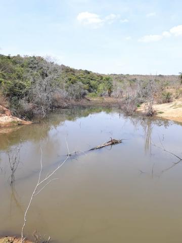 Fazendinha 20.000m2 Maravilhosa | Financia SEM Entrada | Fácil Pagar | AGT - Foto 2