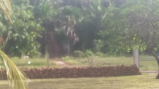 Praia de boa viagem/jarauna - Foto 14