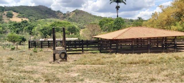 Fazenda - Foto 7
