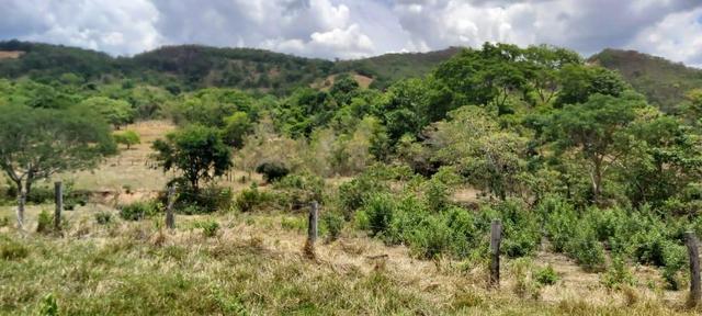 Fazenda - Foto 9