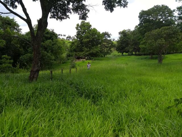 Fazenda taquaral 990.000.00 - Foto 5