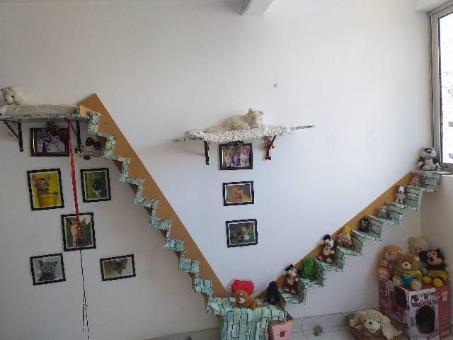 ESCADA PARA GATOS. - Foto 5