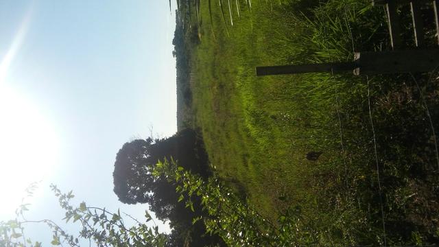 Sitio - Foto 4