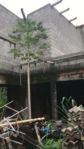 Lote Residencial