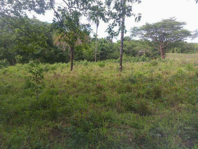 Vende-se uma chácara na região do PADF 18 HECTARES - Foto 8