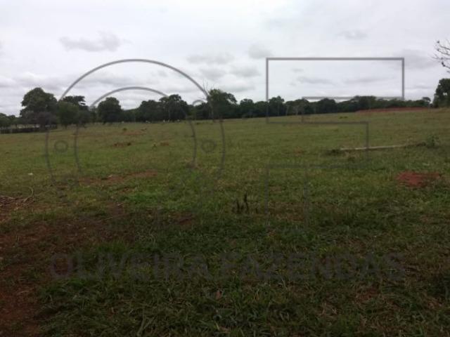 125 hectares Aquidauana MS - Foto 4