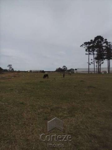Terreno amplo no Costeira - Foto 5