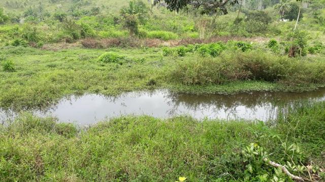 Fazenda com excelente localização - Foto 11