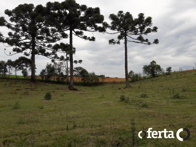 Chácara em Contenda com 30.170 metros quadrados - Foto 19
