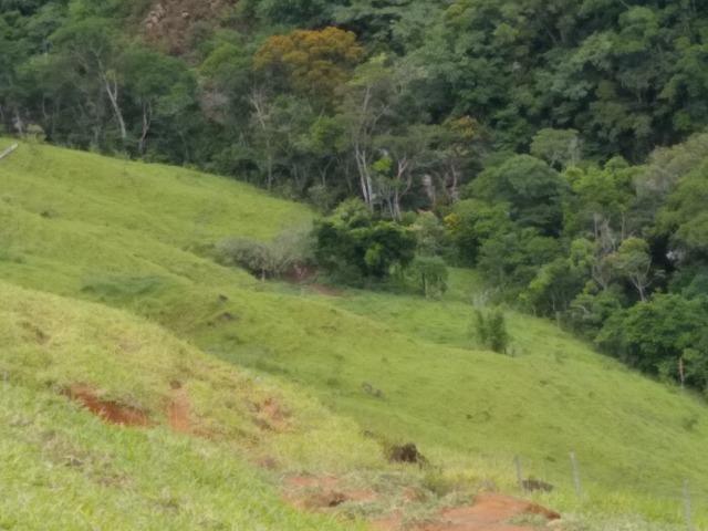 Fazenda de 150 alqueires ou seja 7.200.000 m² em Casimiro de Abreu, RJ - Foto 19