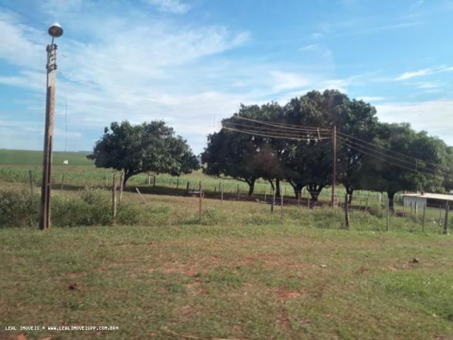 Fazenda para venda em estrela do norte, zona rural, 3 dormitórios, 1 suíte, 1 banheiro - Foto 5