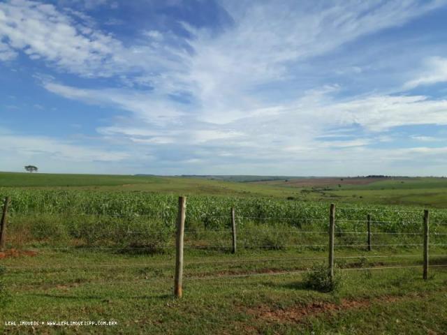 Fazenda para venda em estrela do norte, zona rural, 3 dormitórios, 1 suíte, 1 banheiro - Foto 2