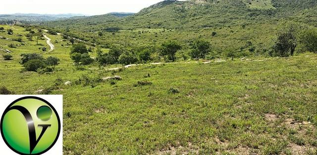Areá com 65 Hectares nas Margens da Pista de Mandacaru em Gravatá-PE - Foto 18