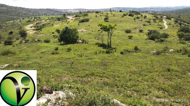 Areá com 65 Hectares nas Margens da Pista de Mandacaru em Gravatá-PE - Foto 17