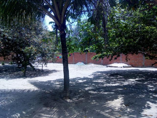 Vendo um Sítio em Tibumba - Foto 17