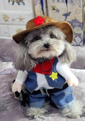 Roupa para pet diversos modelos e tamanhos - Foto 2