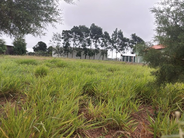 Velleda oferece sítio 1400 m² escriturado condomínio fechado próx comércios - Foto 3