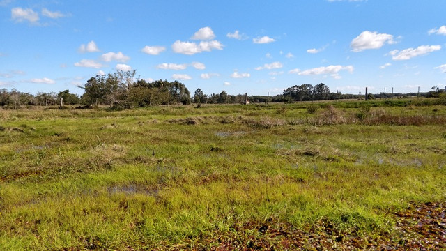 SSV Imóveis Apresenta, 2.550 m2, 1 km da RS 040, veja - Foto 8