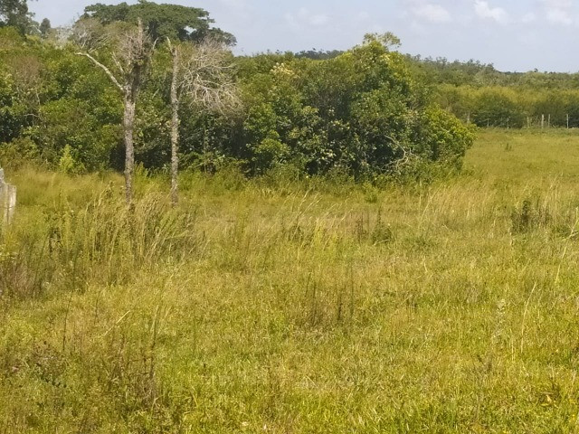 Velleda oferece sitio 3 hectares com casa e 2 açudes - Foto 7