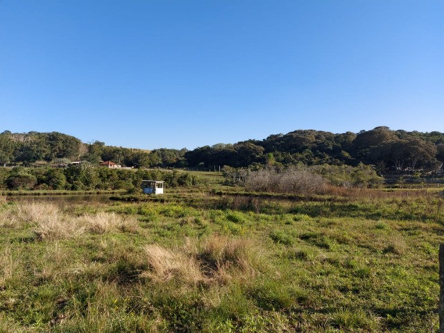 Velleda oferece 4 hectares c/ campo ideal para cavalos ou ovelhas, luz CEEE - Foto 8