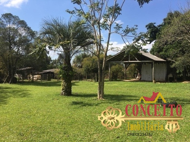 Lindo sítio particular, escriturado, com 20.000m² - confira - Foto 9