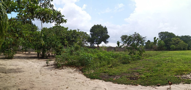 Terreno 21.000m2* próximo a BR 316 em Marituba