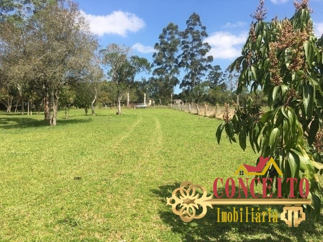 Lindo sítio particular, escriturado, com 20.000m² - confira - Foto 4