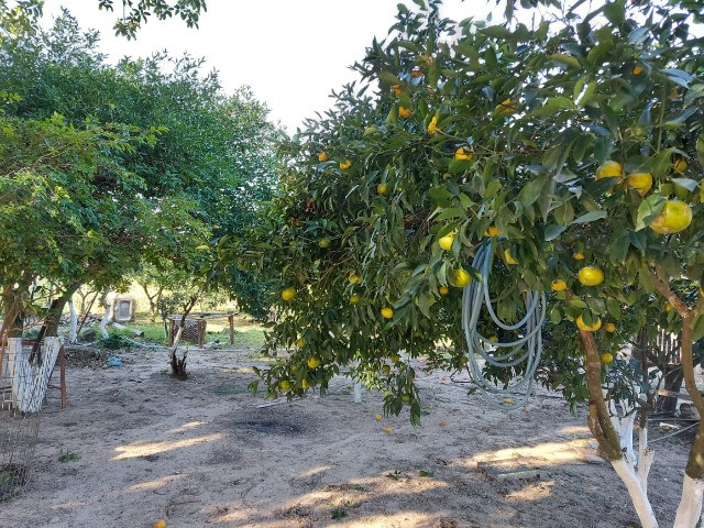 Velleda oferece espetacular sítio 2 hectares para lazer e moradia, ac troca - Foto 17