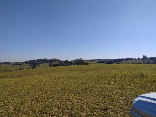 Velleda oferece linda fazenda 70 hectares 10 km da RS-040, aproveita 100% - Foto 6