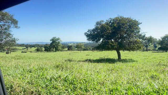 40 alqueires em Trindade-GO  - Foto 4