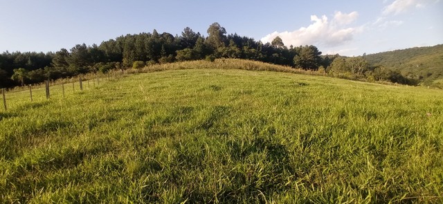 Chácara com 2 Hectares com arroio  - Foto 4