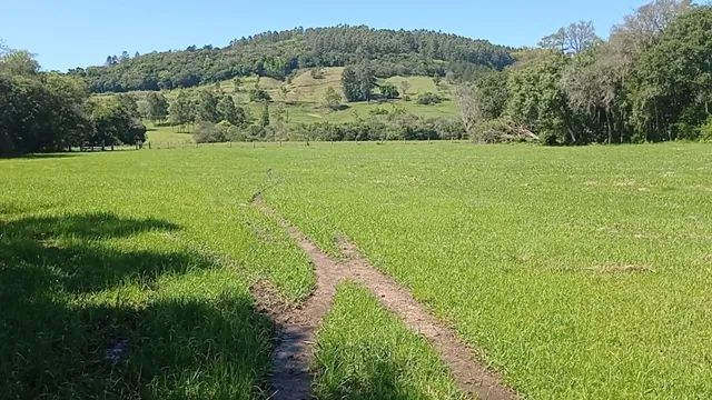 Chácara 23 hectares plano para pecuária  - Foto 5