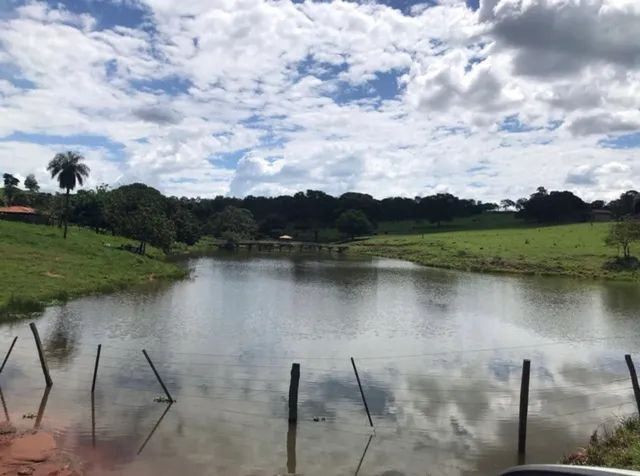 40 alqueires em Trindade-GO  - Foto 3