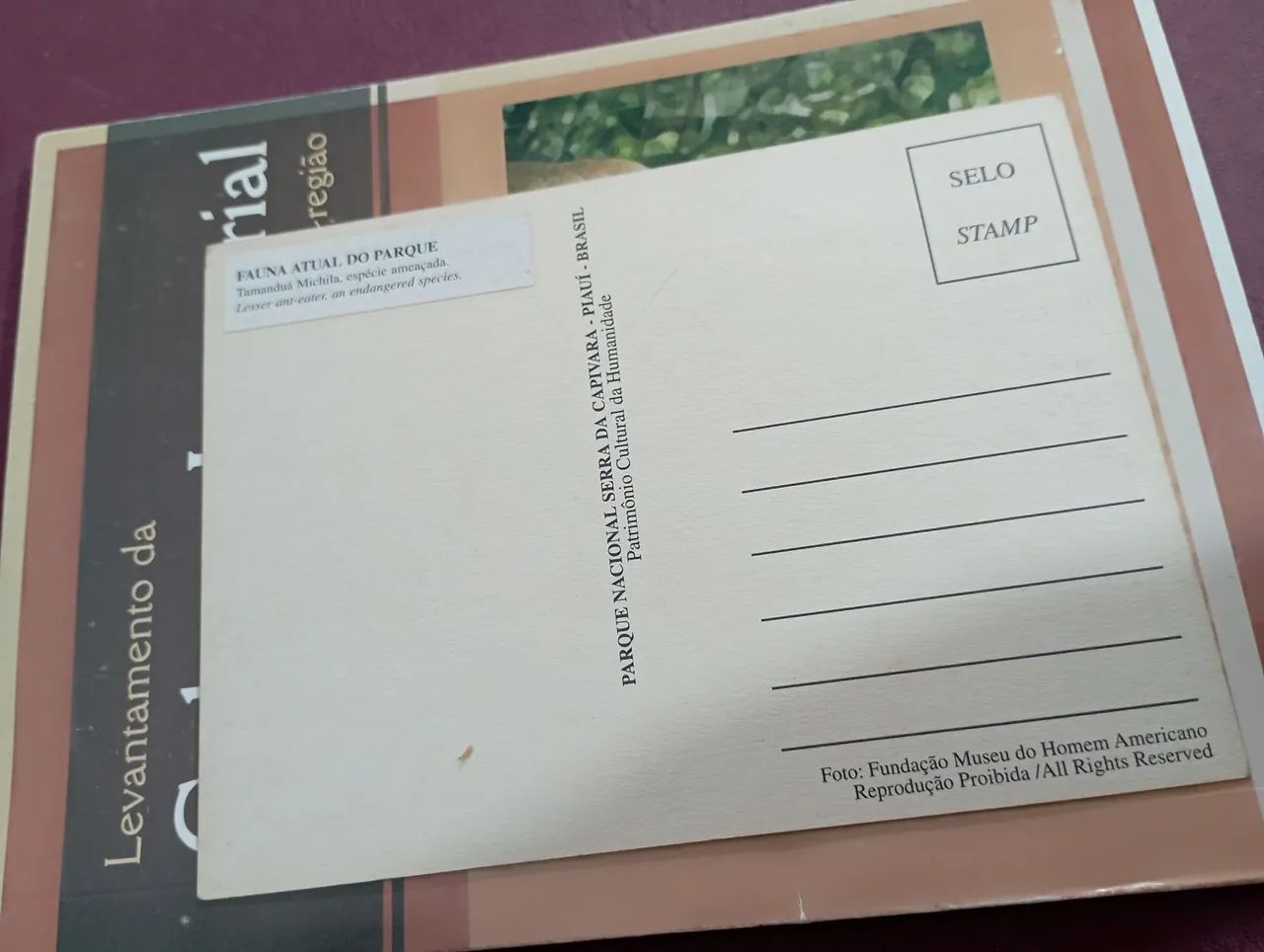 Livro Levantamento da Cultura Imaterial São Raimundo Nonato-PI e Macro-região - Foto 4