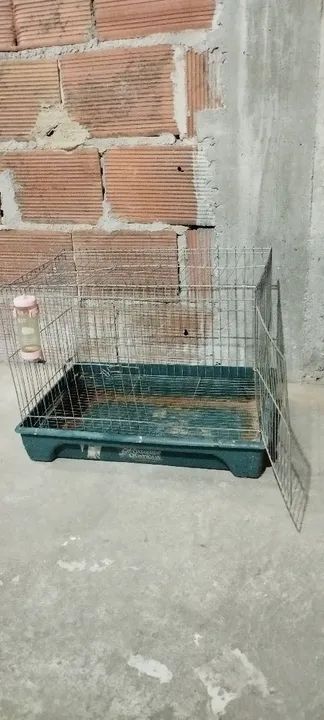 Gaiola para Roedores - Aceito ofertas