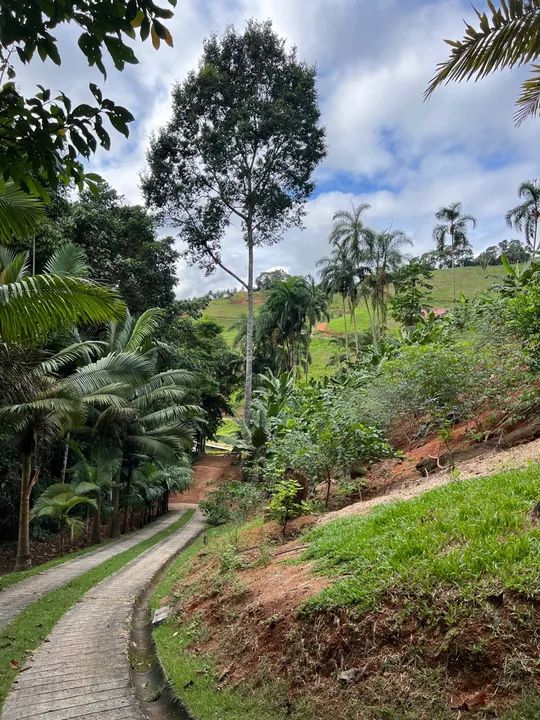Sítio com casa e área verde em região montanhosa - Foto 13