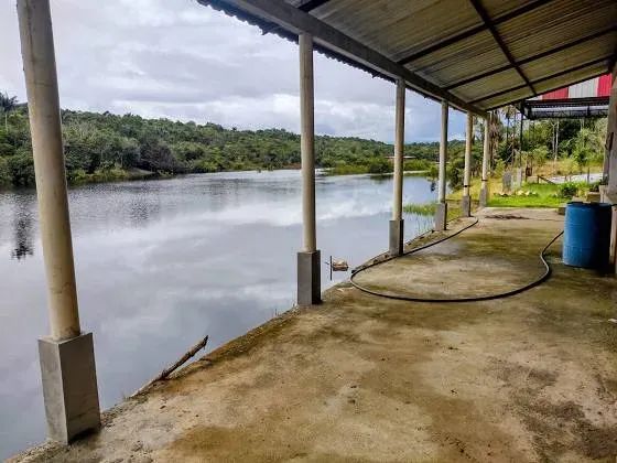 Chacara Perto da Cidade Universitaria 3.500m²  Casa e Galpão Km 08 da Manuel Urbano - Foto 2