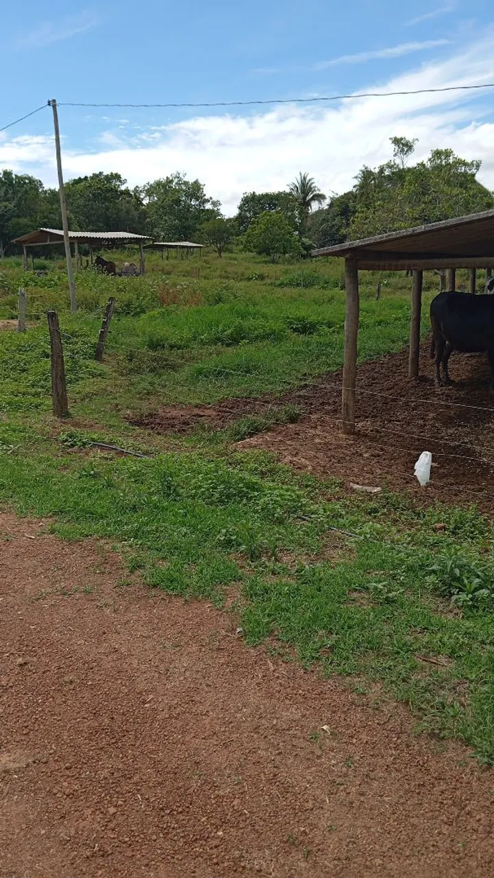 Vendo fazenda com 18 alqueires 26 hectares vendo fazenda com 18 alqueires 26 hectares
