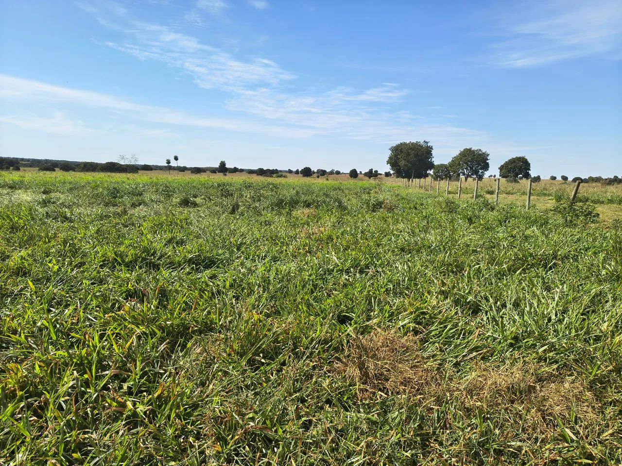 Fazenda Extra 90 Alqueires - Dupla Aptidão  - Foto 4