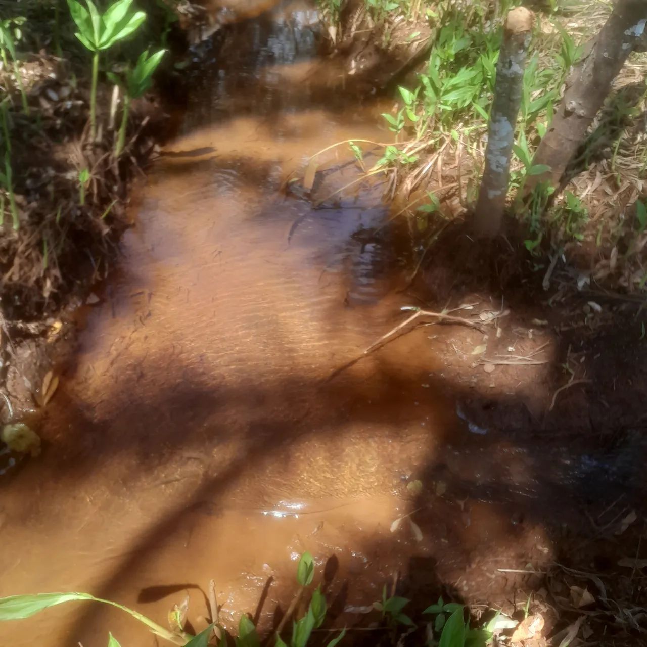 Terreno com água no fundo  - Foto 2