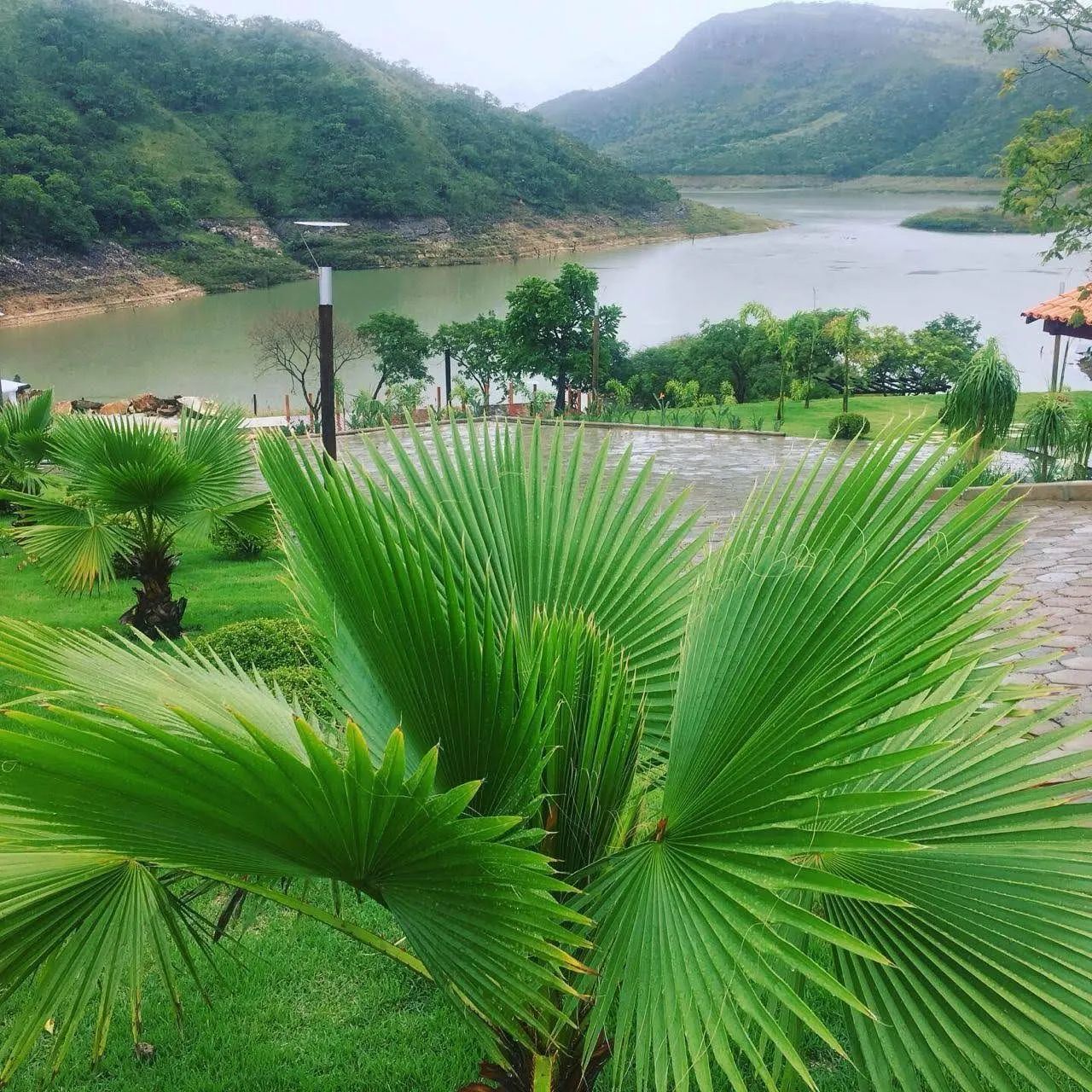 Oportunidade imperdível, terreno em condomínio fechado, Lago de Furnas! - Foto 3