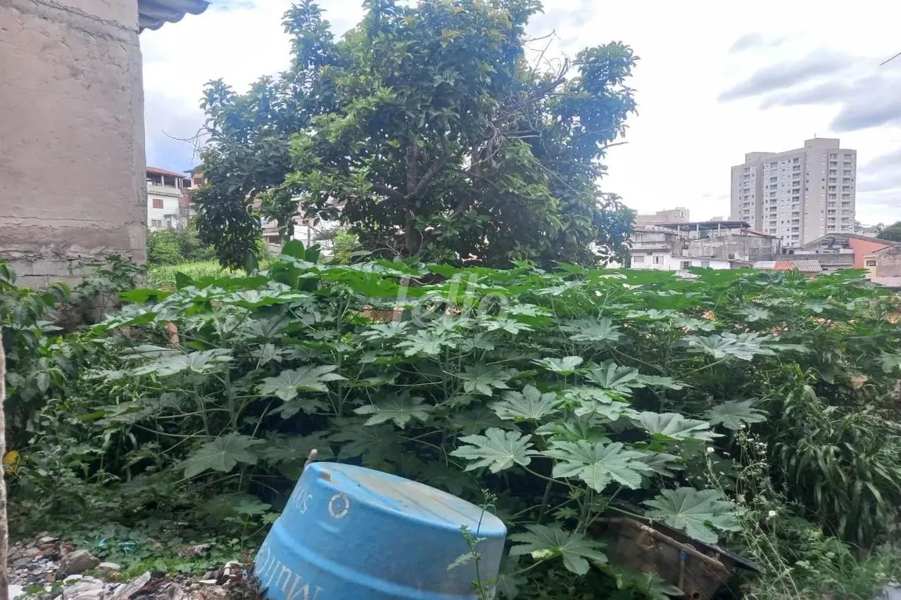 Terreno null quartos à venda no(a) Mandaqui - Foto 4