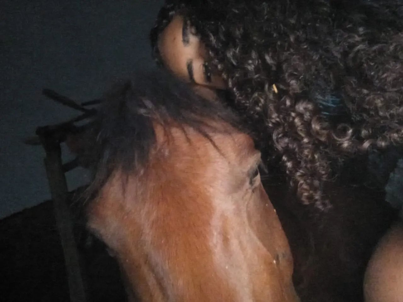 Besta mansa - Foto 6