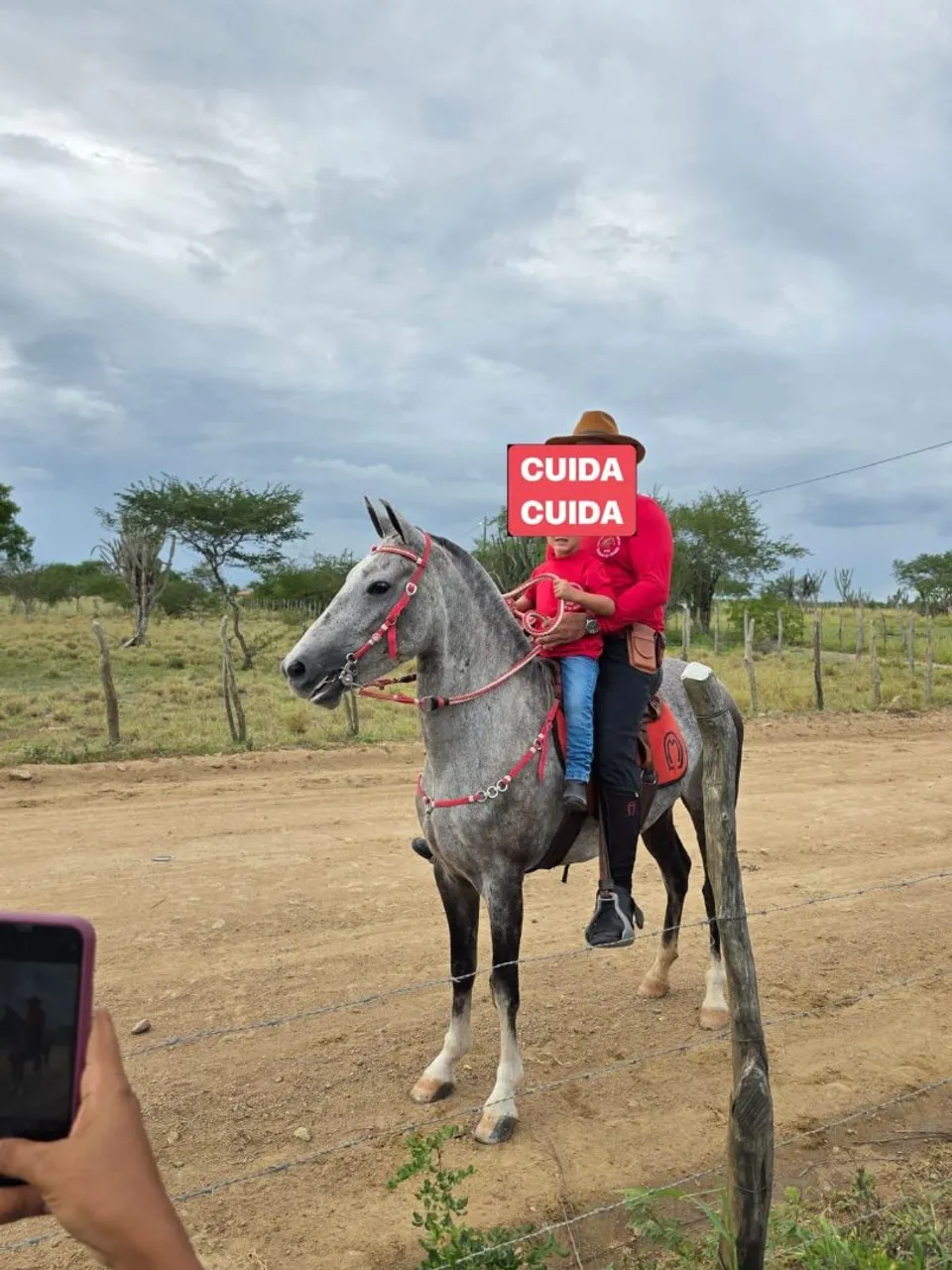 Égua Tordilha para agropecuária 