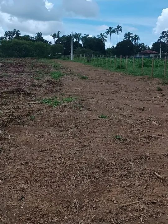 R$ 34.990,00 LOTE CANA DO REINO / 26 DE SETEMBRO - Foto 3