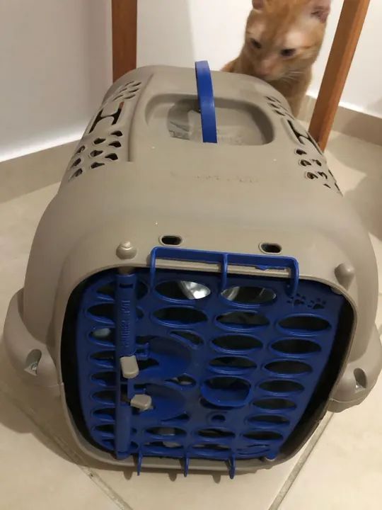 Vendo Caixa de Transporte para Animais de Estimação  - Foto 2